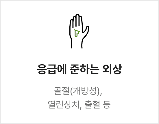 응급에 준하는 외상